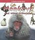 Monkeys and Other Primates (What Kind of Animal Is It?)