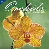 2012 Orchids 12X12 Wall  calendar