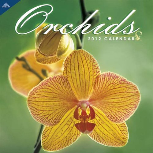 2012 Orchids 12X12 Wall  calendar