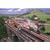 Ravensburger Puzzle - Full Steam Ahead (1000 pieces)