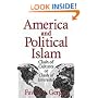 America and Political Islam: Clash of Cultures or Clash of Interests?