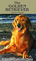 The Golden Retriever Tzurrier