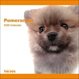 2009 Pomeranian ARTLIST Square Wall Calendar