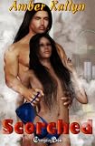 Dragos 2: Scorched