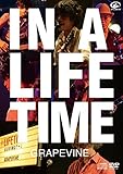IN A LIFETIME (DVD盤) 洋銀