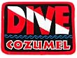 Dive Cozumel Patch Embroidered Iron On Scuba Diving Flag Emblem Souvenir