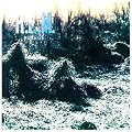 Murmur - The I.R.S. Years Vintage 1983