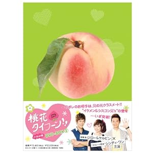 桃花タイフーン!! ノーカット版 DVD-BOX II 