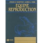 Equine Reproduction by Angus O. McKinnon and James L. Voss