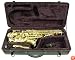 Signature Music Brass Alto Saxophone Sax Brand New With Case 2710L