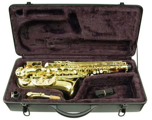 MusicalInstruments: Signature Music Brass Alto Saxophone Sax Brand New With Case 2710L