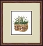 Basket Of Thyme by Barbie Tidwell - Framed Artwork