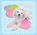 �y���[�E���[���ցz�n�[�g�^�W�F���}�b�g�@�s���N