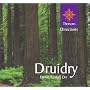 Druidry (Thorsons First Directions)