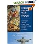 Honey from the Rock: Sixteen Jews Find the Sweetness of Christ