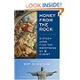 Honey from the Rock: Sixteen Jews Find the Sweetness of Christ