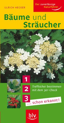 B�ume und Str�ucher