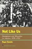 Not Like Us: Immgrants and Minorities in America 1890-1924 (The American Ways Series)