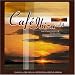 Cafe Ibiza, Vol. 4: The Ambient & Chill Out Album