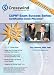 Book CAPM Exam Success Series: Placemat Vol. 1 (Process Map and Key Information)