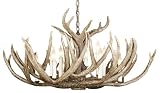 Dick Idol™ Twelve Light Antler Chandelier