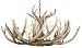 Dick Idol&trade; Twelve Light Antler Chandelier