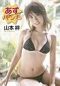 山本梓 あずパンチ [DVD]
