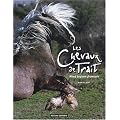 Les chevaux de trait : Neuf joyaux fran�ais