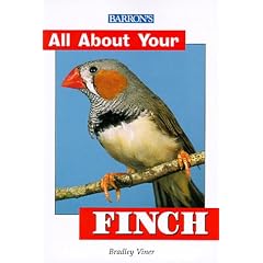 All About Your Finch (All About Your Pets Series)