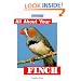 All About Your Finch (All about Your Pet)