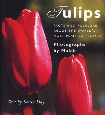 Tulips: Facts and Folklore About the World's Most Planted Flower