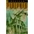Absalom, Absalom (Vintage International)