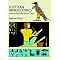 Egyptologica: Linguistics: Introduction