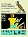Egyptian Hieroglyphics