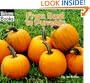 From Seed to Pumpkin (Welcome Books: How Things Grow)