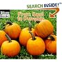 From Seed to Pumpkin (Welcome Books)
