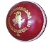 KOOKABURRA Super Match Cricketball