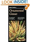 Taylor's Guide to Ornamental Grasses