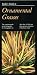 Taylor's Guide to Ornamental Grasses