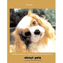 King Charles' Spaniel (About Pets)