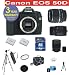 17 Piece Mega Kit with Canon EOS 50D 15.1 Digital SLR Camera with 18-55mm IS Lens + Sigma 70-300MM Macro Zoom Lens + Rokinon 500mm F/8 Lens with 2x Converter (=1000mm) + High Capacity Li-Ion Battery + 4 GB Memory Card + 50