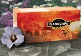 Ganocafe Mocha by Gano Excel USA Inc. - 15 Packets