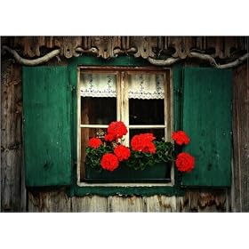 photographie Wooden window est disperible en (L x H): 100 x 70 cm de G. Siebenh�hner