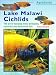 Lake Malawi Cichlids (AquaGuide)