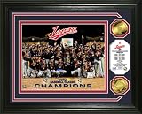 WBC ワールドベースボールクラシック 09日本優勝記念フォトプラーク[集合] 大会ゴールドコイン24金加工ハイランドミントPHOTO2109Kの画像