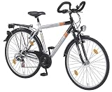 ALU-REX Trekking Herrenrad 28 21-Gang SHIMANO Kettenschaltung - 