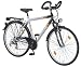 Sports : ALU-REX Trekking Herrenrad 28 21-Gang SHIMANO Kettenschaltung