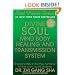 Divine Soul Mind Body Healing and Transmission System: The Divine Way to Heal You, Humanity, Mother Earth, and All Universes