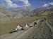 Photo Jigsaw 16x12 (40x30cm) Thorung La Pass by Robert Harding