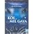 Koi... Mil Gaya [DVD] [2003]